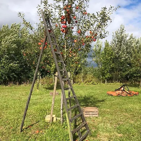 Landgoed Het Heuvelbosch דירה