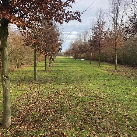 Landgoed Het Heuvelbosch דירה