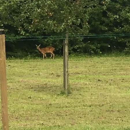 Landgoed Het Heuvelbosch דירה *