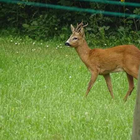 Landgoed Het Heuvelbosch Apartment Waardenburg