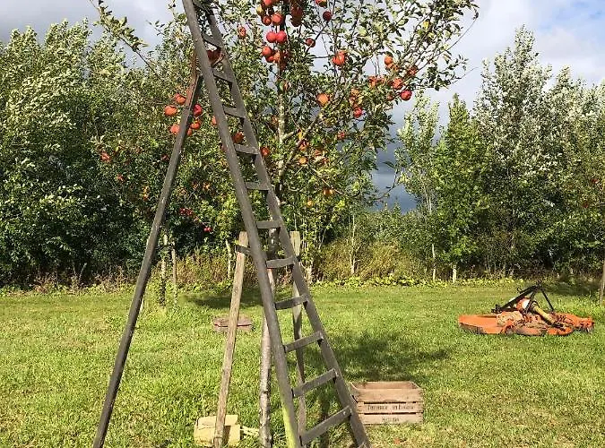 Landgoed Het Heuvelbosch Appartement