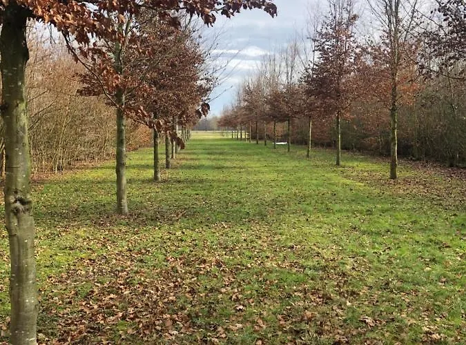 Landgoed Het Heuvelbosch Appartement