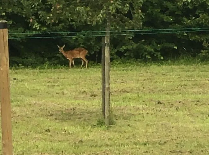 Landgoed Het Heuvelbosch Appartement *