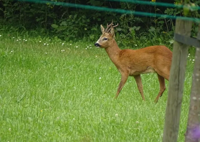Landgoed Het Heuvelbosch Appartement Waardenburg