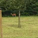 Landgoed Het Heuvelbosch Lejlighed *